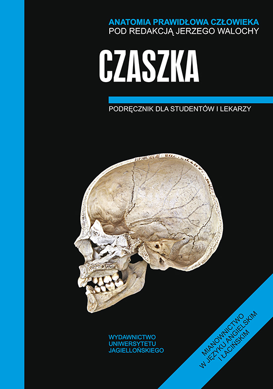 Czaszka Anatomia prawidłowa człowieka